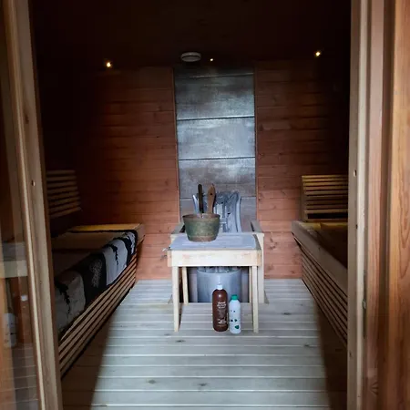 Northern Lights For Families - Close To The Arctic Circle Villa Rovaniemi