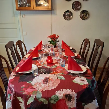 Northern Lights For Families - Close To The Arctic Circle Willa *