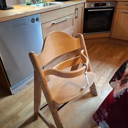 Northern Lights For Families - Close To The Arctic Circle Rovaniemi