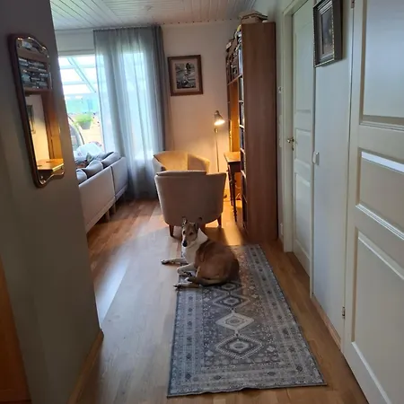 Northern Lights For Families - Close To The Arctic Circle Villa