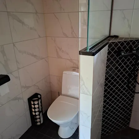 Northern Lights For Families - Close To The Arctic Circle * Rovaniemi