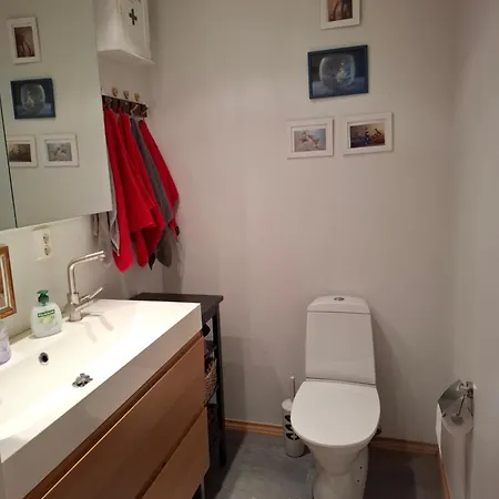 Willa Northern Lights For Families - Close To The Arctic Circle Rovaniemi