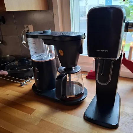 Northern Lights For Families - Close To The Arctic Circle *