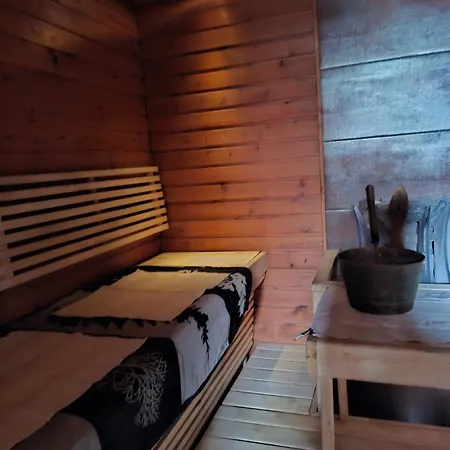 Northern Lights For Families - Close To The Arctic Circle