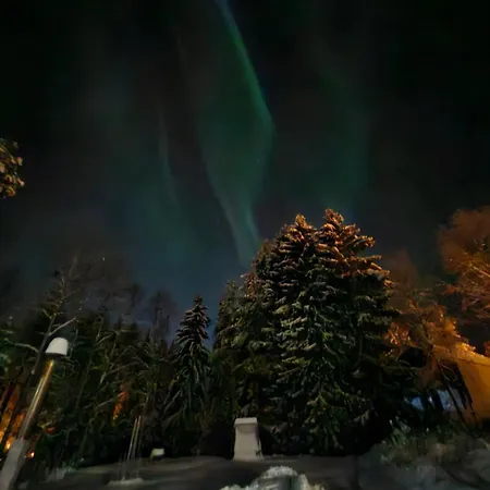 Northern Lights For Families - Close To The Arctic Circle Villa *