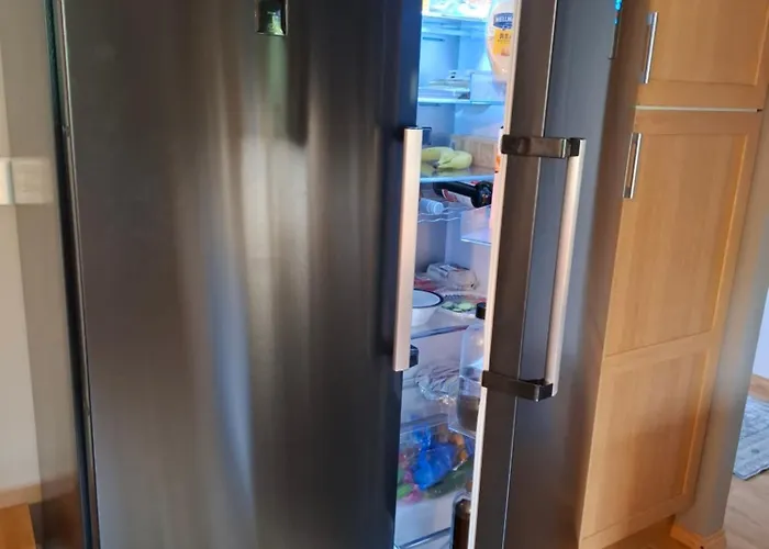 Northern Lights For Families - Close To The Arctic Circle