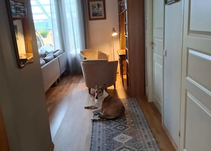 Northern Lights For Families - Close To The Arctic Circle Villa