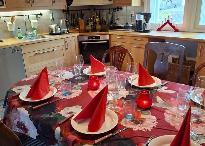 Northern Lights For Families - Close To The Arctic Circle Rovaniemi