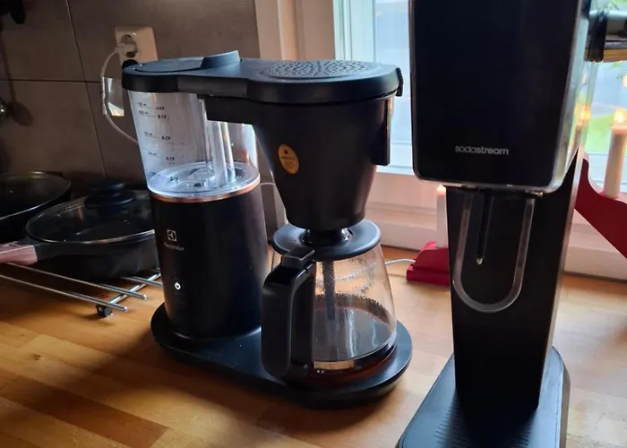 Northern Lights For Families - Close To The Arctic Circle *