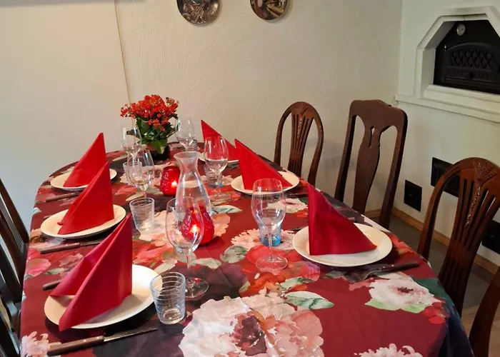 Northern Lights For Families - Close To The Arctic Circle Rovaniemi