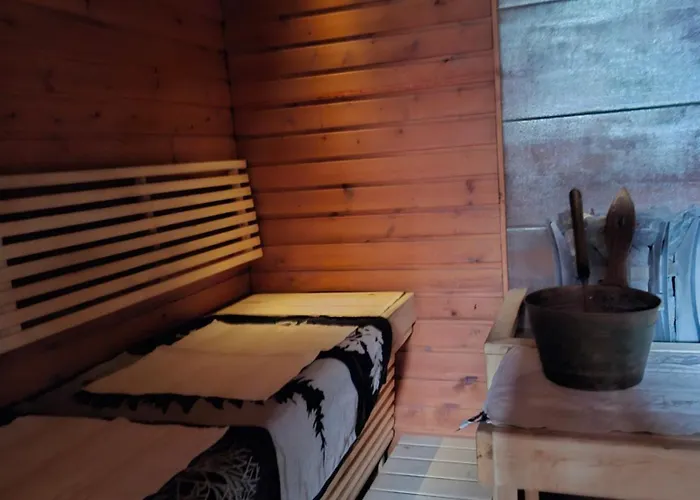 Northern Lights For Families - Close To The Arctic Circle